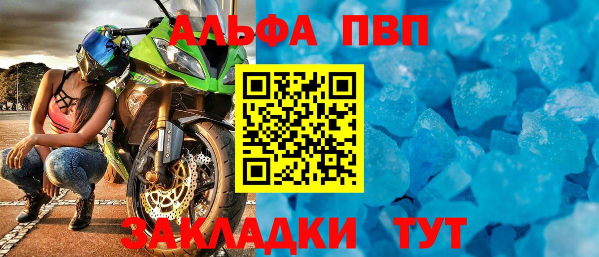 Альфа ПВП СК КРИС Будённовск